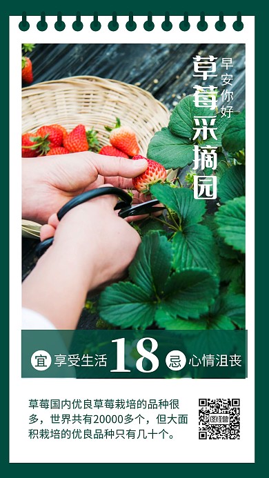 简约风绿色早安你好草莓采摘日签
