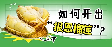 报恩榴莲简约彩色微信公众号封面首图