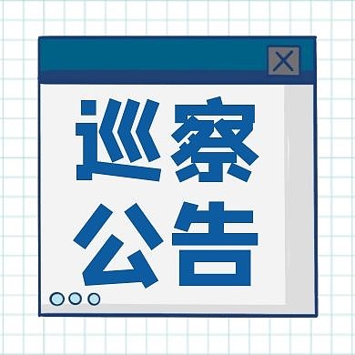 巡察公告简约蓝色格纹公众号次图