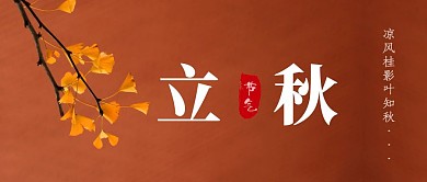 立秋秋天树叶银杏摄影公众号首图