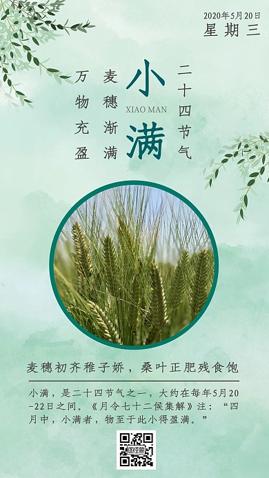 绿色小满麦穗海报古风