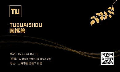 黑金风商务金融公司个人企业名片