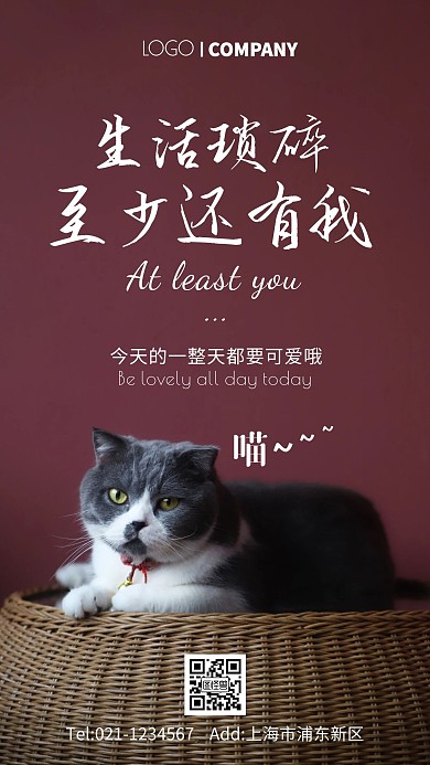猫咪治愈心情摄影图手机海报