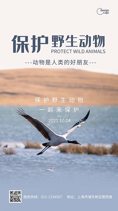 世界动物日保护动物公益摄影图海报