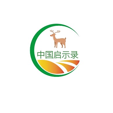 中国启示录logo设计