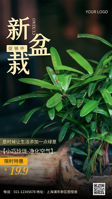 摄影图盆栽促销黑色简约风手机海报