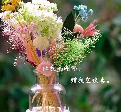 让我感谢你赠我空欢喜朋友圈封面