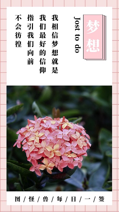 高级好看的粉色早安日签