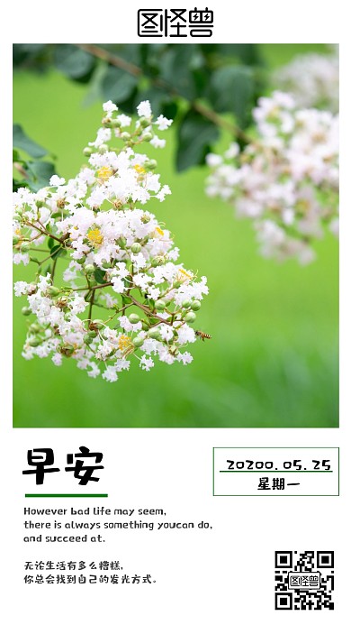  日签简约二维码文案排版早安风景