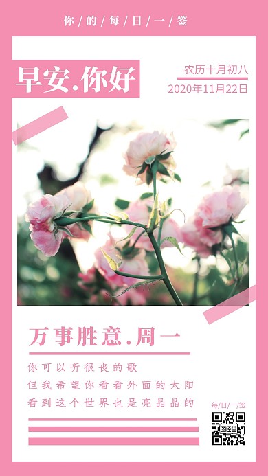 粉色玫瑰周一早安日签