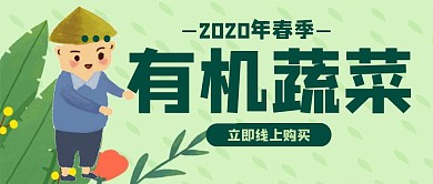 有机蔬菜简约宣传创意公众号封面
