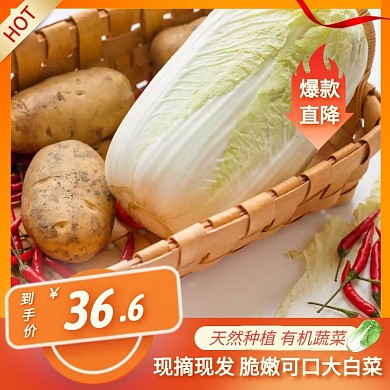 白菜简约大气橙色主图直通车