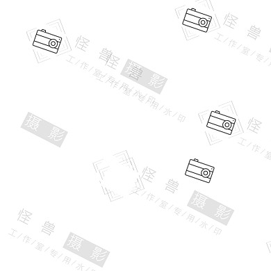 简约创意摄影工作室水印logo