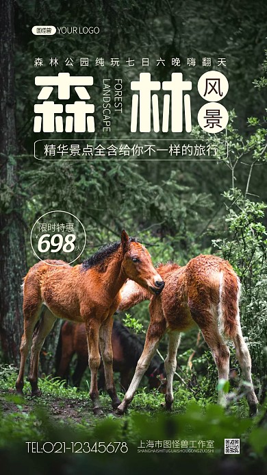 森林风景简约风摄影图海报