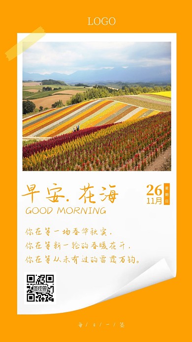 每日一签早安花海小花橘色日签