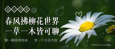 春季聊一聊摄影图公众号首图