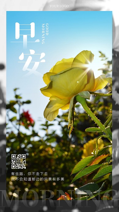 摄影鲜花客户关系维护早安问候手机海报