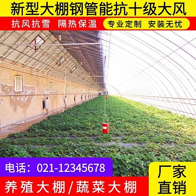 黄红色简约直通车模板大棚	