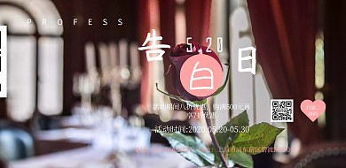520表白日促销粉色浪漫简约海报模板