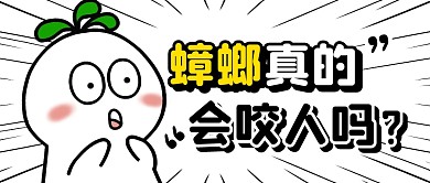 蟑螂咬人科普简约彩色微信公众号封面首图