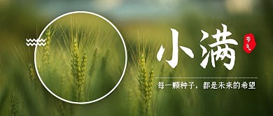简约小满节气麦穗公众号封面