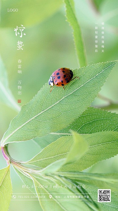 清新摄影风房地产惊蛰节气手机海报