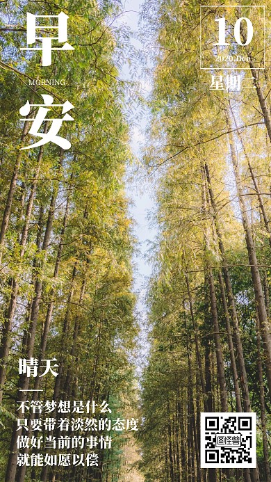 晴天阳光树林日签