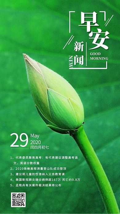 原创简约荷花早安新闻日签