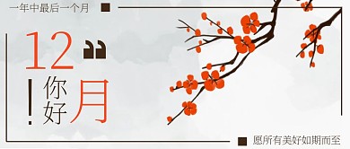 简约梅花十二月你好公众号首图