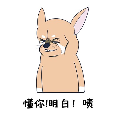 表情包懂你明白