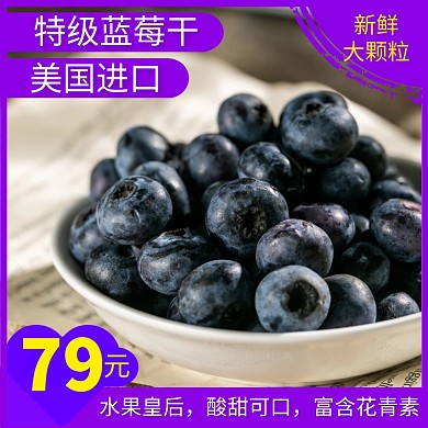 蓝莓干主图促销直通车