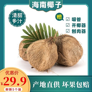 主图椰子食品鲜新水果深蓝色直通车
