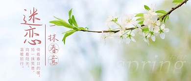 唯美春意古风公众号封面首图
