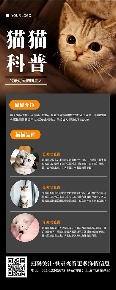 简约黑色猫猫科普营销长图
