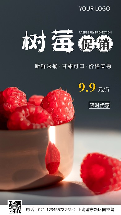 简约风水果树莓宣传促销摄影图海报