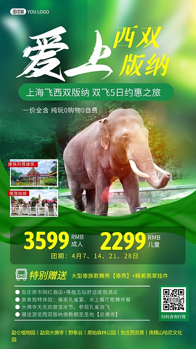 西双版纳旅游指南路线景点旅行社手机海报