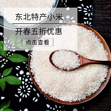 简约特产小米标签主图直通车