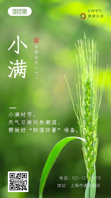 小满健康简约绿色二十四节气节日摄影图海报