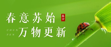 春分节气祝福植物公众号封面