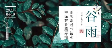 大气清新简约谷雨节气公众号封面
