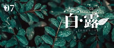 摄影植物白露公众号封面首图