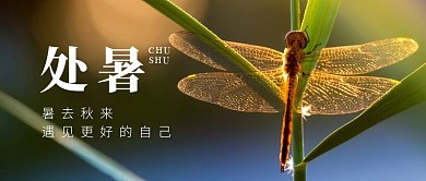 处暑传统节气实景公众号封面