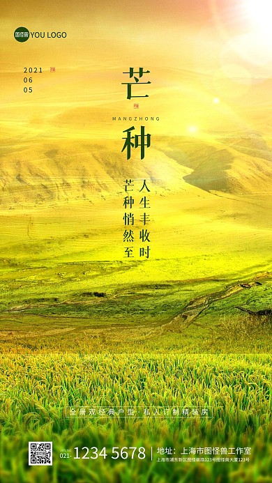 芒种传统节气大气摄影图海报