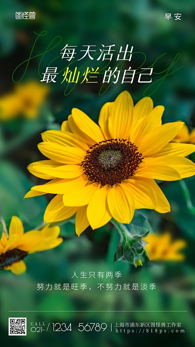 早安励志正能量向日葵手机摄影图海报