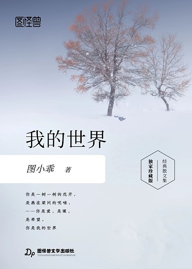 中国现代文学书籍封面