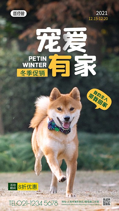 宠物冬天特惠纯色大气手机摄影图海报