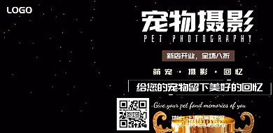 宠物摄影简约清新横版海报