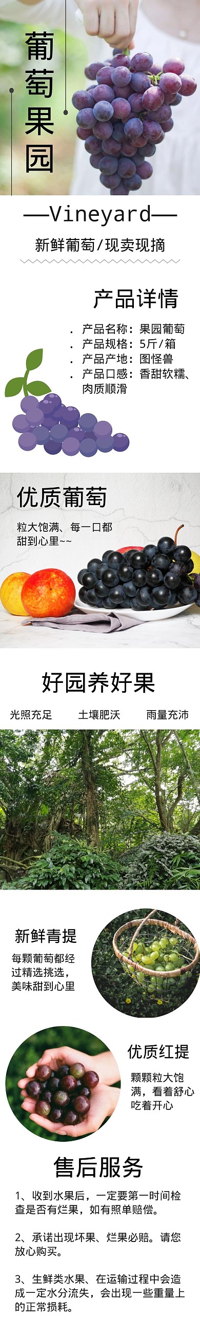 白色摄影水果果园葡萄果园详情页