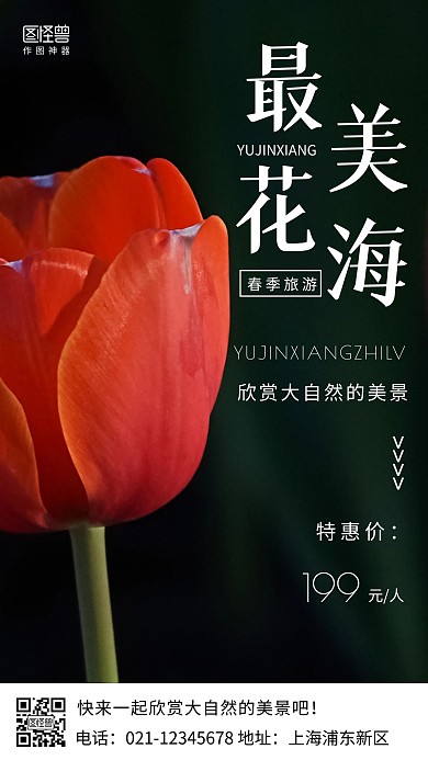 郁金香旅游促销黑色简约风手机海报