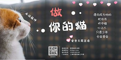 猫咪治愈大气摄影问候海报